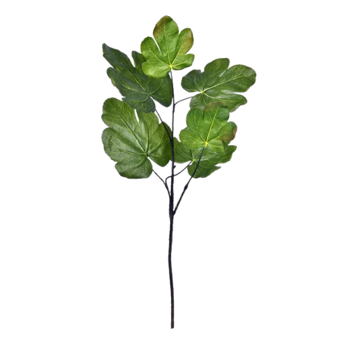 faux fig branch