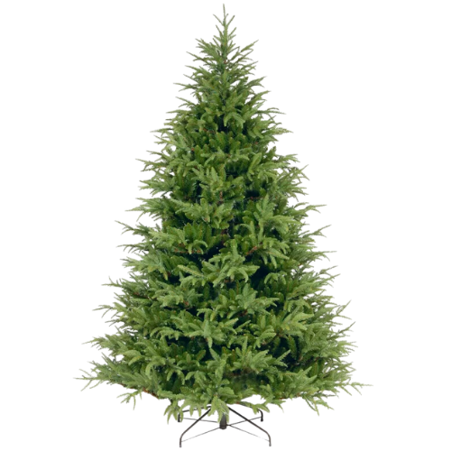 Visit Website Add to folder Wayfair North America National Tree Company Frasier Grande Tree Christmas