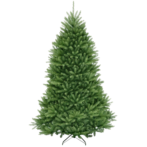 Amazon Dunhill Fir National Tree Company Christmas 7'