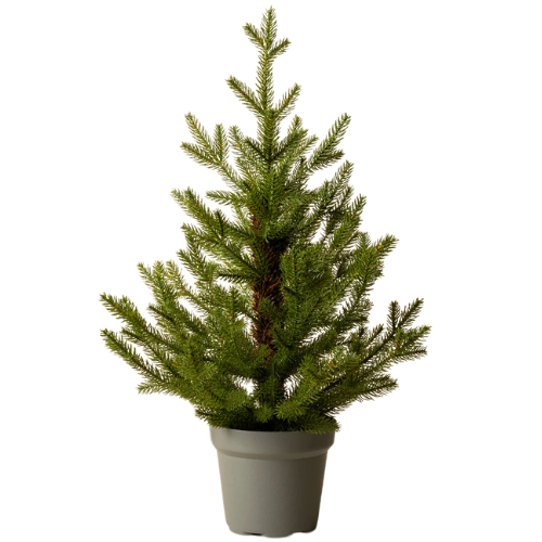 McGee & Co. (US) Norway Spruce Mini Faux Tree Christmas