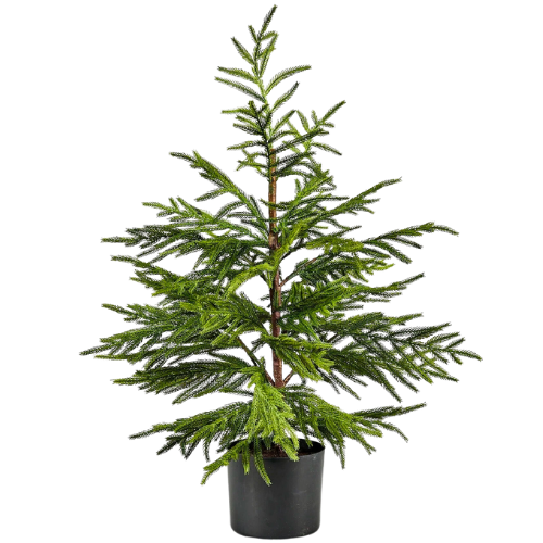 Real Touch Potted Norfolk Pine Tree | Afloral