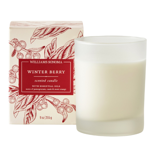 Williams-Sonoma Williams Sonoma Winter Berry Candle