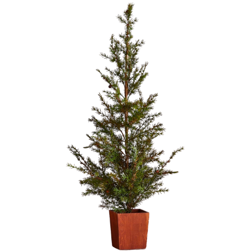 West Elm (US) Faux Potted Alpine Tree w/ Pine Cones