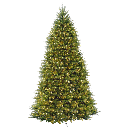 National Tree Company Pre-Lit Artificial Full Christmas Tree, Green, White Lights, Includes Stand, 10 Feet