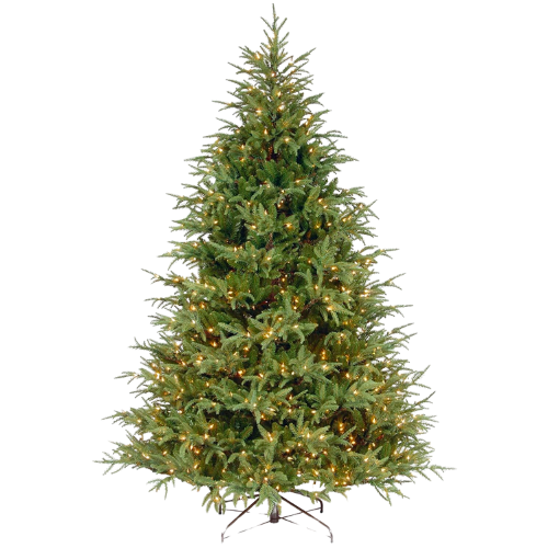 National Tree Company Pre-Lit 'Feel Real' Artificial Full Christmas Tree, Green, Frasier Grande, White Lights, Includes Stand, 7.5 Feet