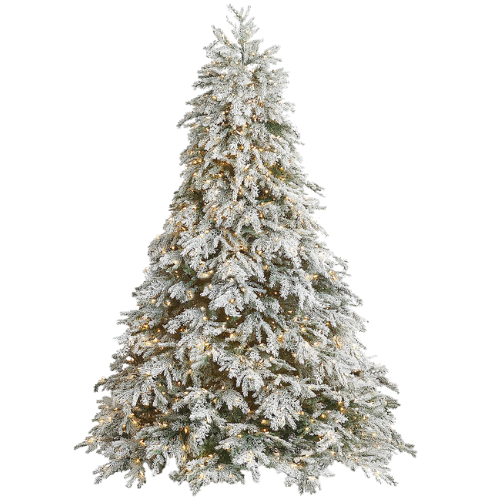 Frosted Canterbury Fir Quick-Light Tree | Frontgate