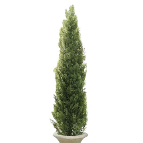 Faux Cedar Pine Tree