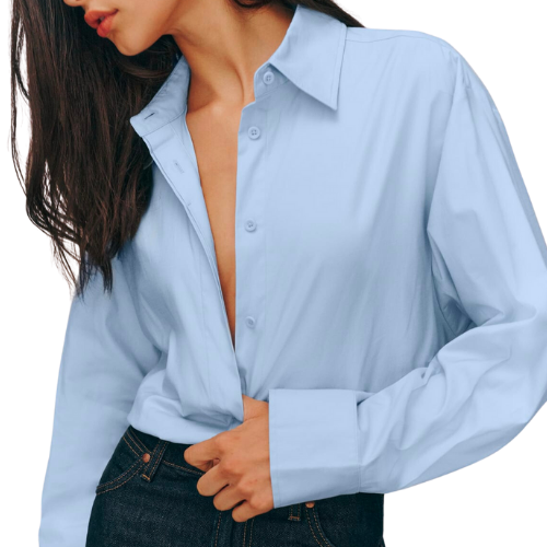 Reformation Blue Oxford Andy Oversized Shirt