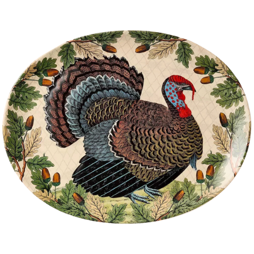 Target 19"x14" Turkey with Acorn Stoneware Oval Serving Platter - John Derian