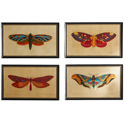 Anthropologie Crackled Moth Wall Art framed prints