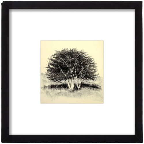 Artfully Walls Old Apple Tree framed art print