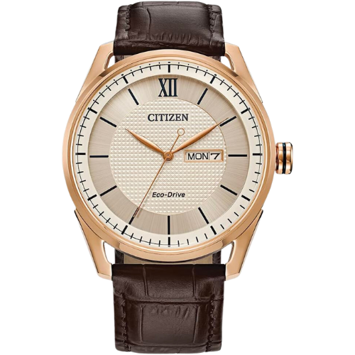 Amazon Citizen Men's Classic Eco-Drive Watch with 3-Hand Day and Date Gold Brown Leather