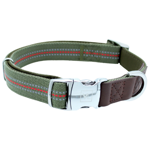 Vibrant Life Premium Dog Collar, Olive