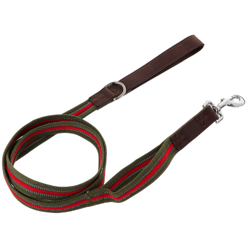 Vibrant Life Reflective Dog Leash, Olive