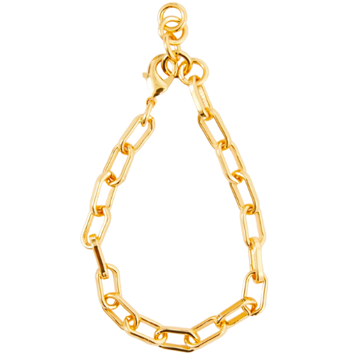 Tuckernuck Gold Paperclip Chain Link Bracelet