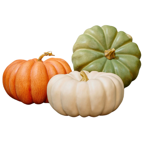 Pottery Barn Faux Pumpkins Gourds