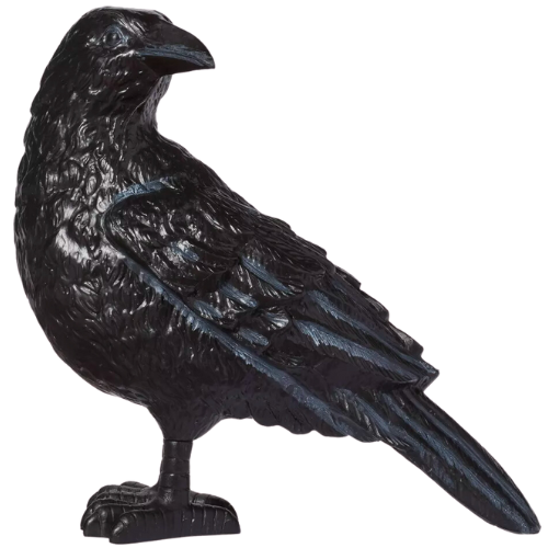 Target Crow Plastic Matte Black Raven