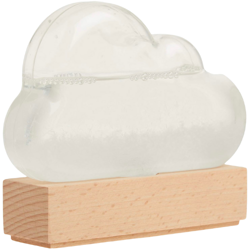 Amazon Storm Cloud: A Weather Predicting Instrument