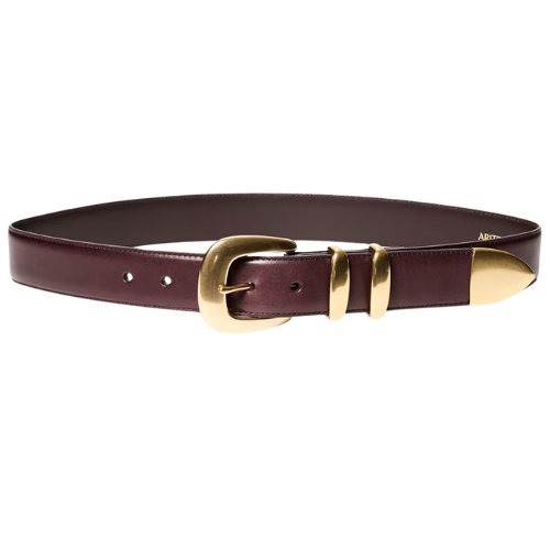 Aritzia LEGENDARY SOLID BRASS LEATHER WIDE BELT