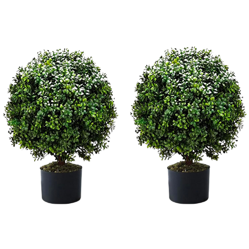 Set of 2 Boxwood Topiaries