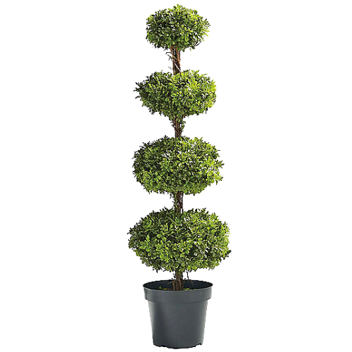 Outdoor Four Tier Boxwood Disc Topiary | Frontgate