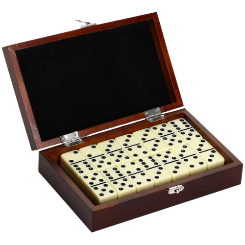 Wayfair Premium Domino Set with Wooden Carry Case