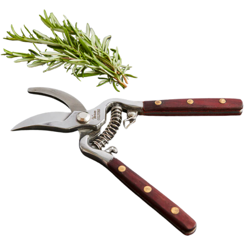 Verve Culture Thai Kitchen and Garden Shears – Gardening