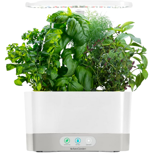 Amazon AeroGarden Harvest with Gourmet Herb Seed Pod Kit - Hydroponic Indoor Garden, White