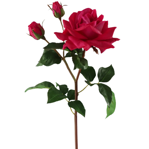 Afloral Real Touch English Rose in Fuchsia | Artificial Flowers