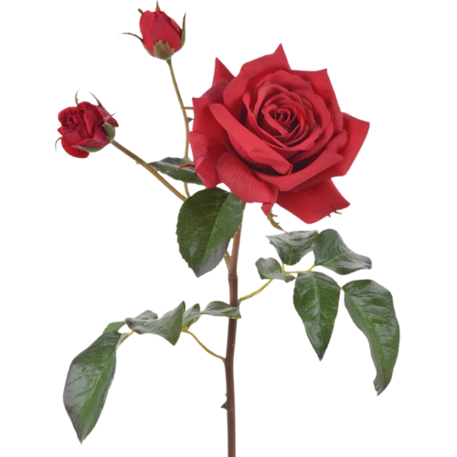 Afloral Red Real Touch English Rose Stem | Best Faux Flowers