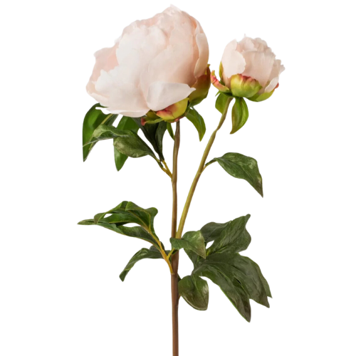 Afloral Faux Pink Whisper Peach Peony Stem