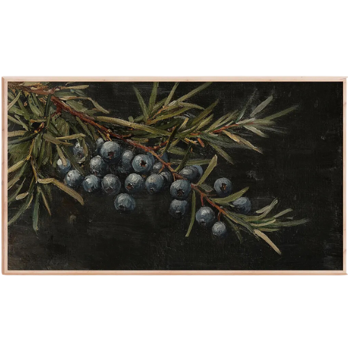 Winter Juniper Botanical FRAME TV Art