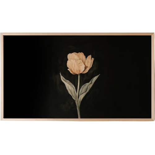 Moody Tulip Flower Frame TV Art