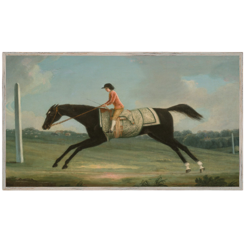 Boy Riding Horse Equestrian Frame TV Art