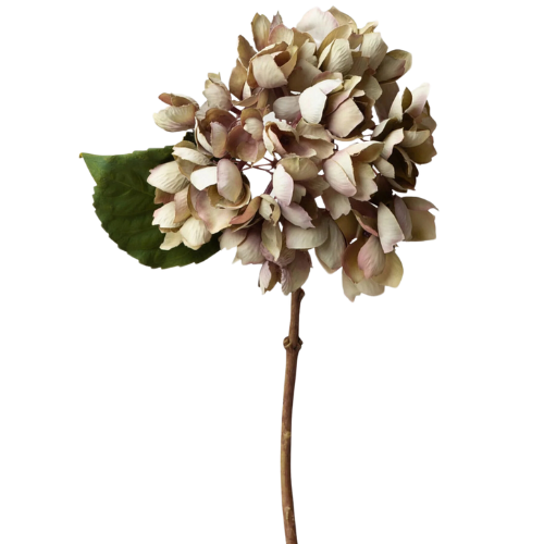 Afloral Hydrangea in Vintage Taupe | Dried Look Faux Flowers