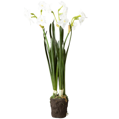 Afloral Faux Paperwhite Drop-In Plant flower