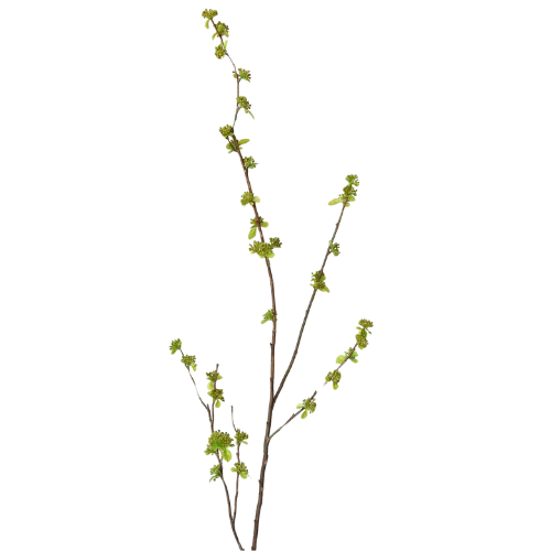 Walmart (US) 40" Faux Budding Branch Stem