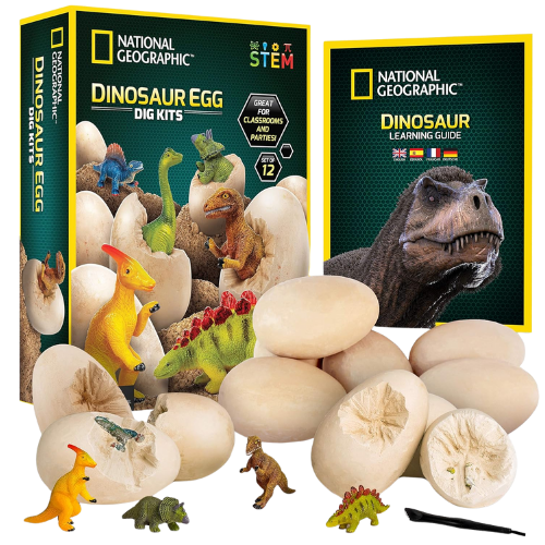 National Geographic Dinosaur Egg Kit