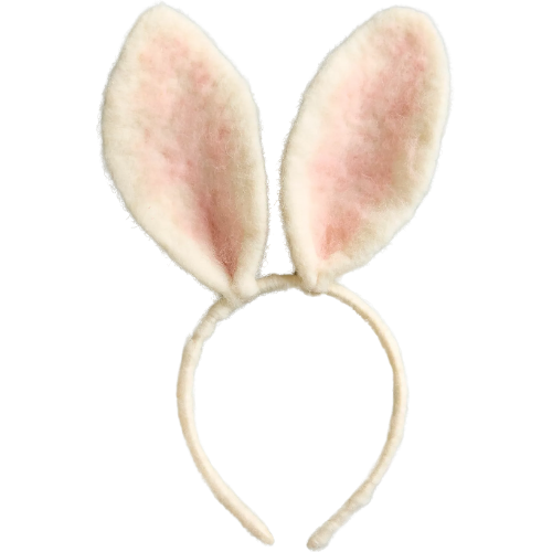 Anthropologie (US) Felt Bunny Ears rabbit easter