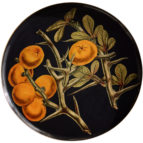 Anthropologie (US) Printed Archival Tray, Round oranges